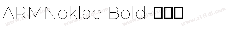 ARMNoklae Bold字体转换 ARMNoklae Bold字体转换